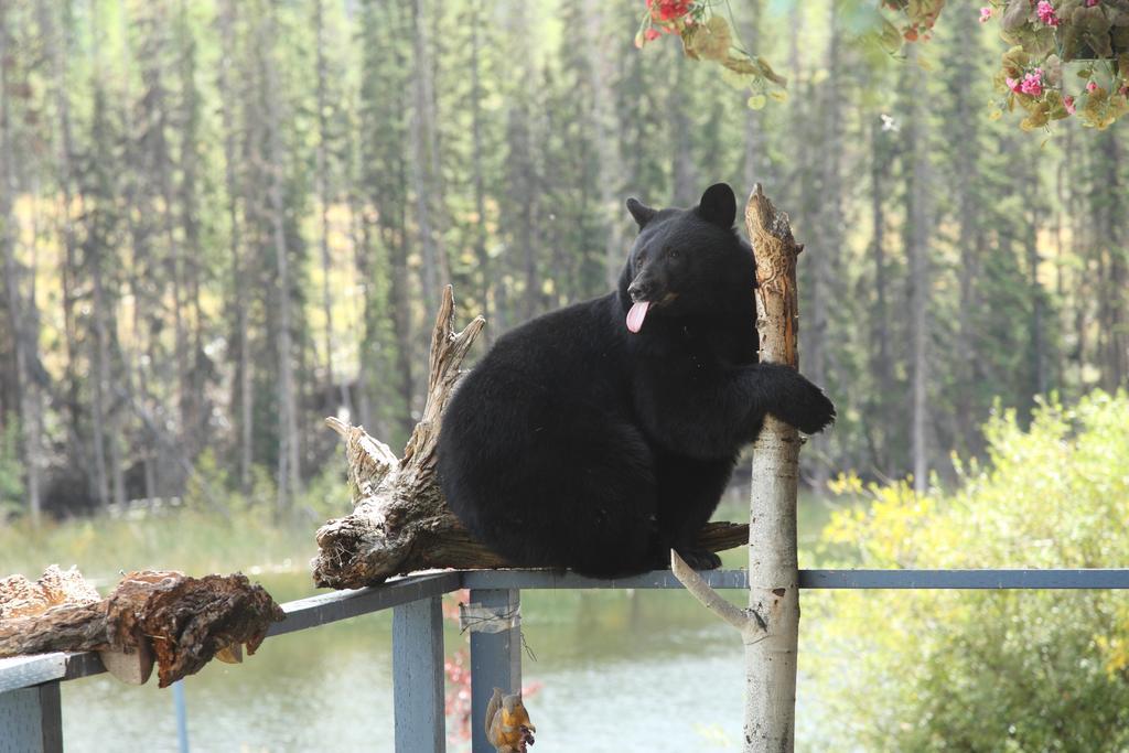 Lac Le Jeune Resort & Nature Centre Kamloops Zewnętrze zdjęcie