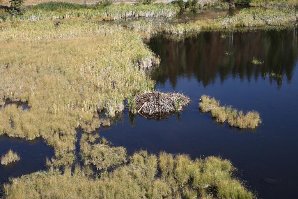 Lac Le Jeune Resort & Nature Centre Kamloops Zewnętrze zdjęcie